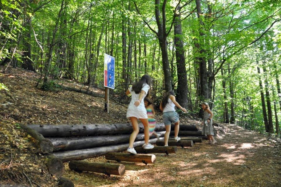 Hotel Snjezna Kuca - Nature Park Of Bosnia Herzegovina Padezina Luaran gambar