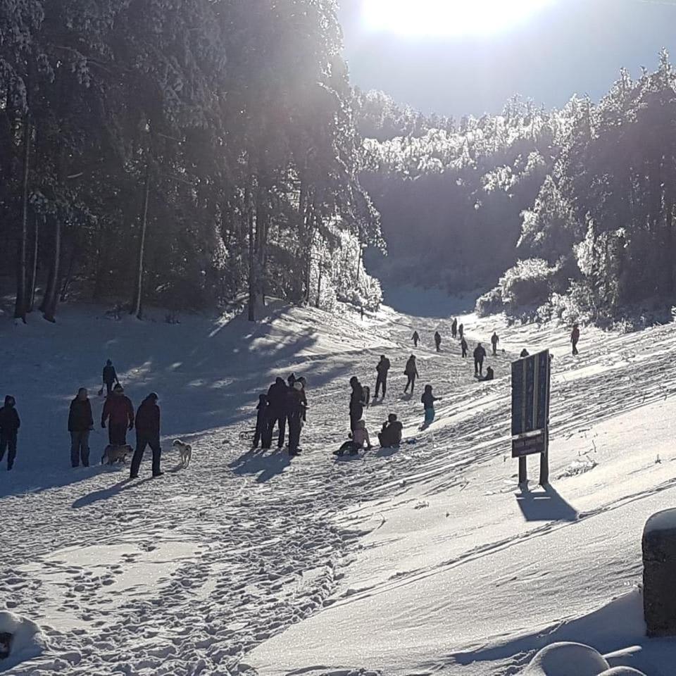 Hotel Snjezna Kuca - Nature Park Of Bosnia Herzegovina Padezina Luaran gambar