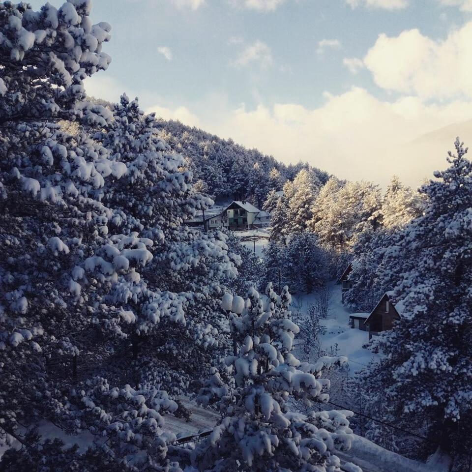 Hotel Snjezna Kuca - Nature Park Of Bosnia Herzegovina Padezina Luaran gambar