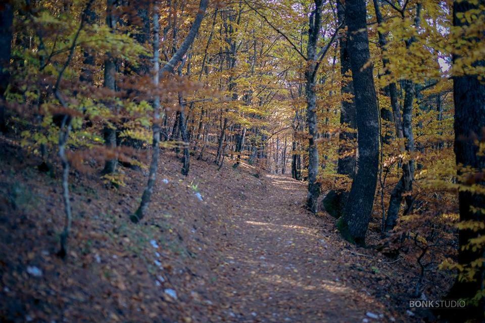 Hotel Snjezna Kuca - Nature Park Of Bosnia Herzegovina Padezina Luaran gambar